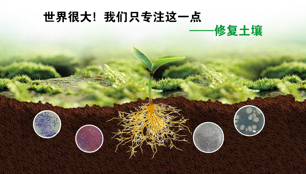 威立雅PFAS治理技术亮相环博会(图1)