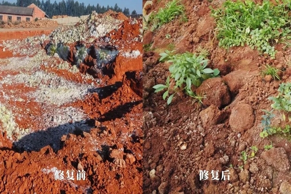 科创引领绿色发展 健康赋能民生未来——中国绿色发展领军人物高长臣(图1)